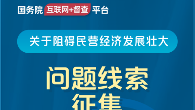 男生把鸡巴插入女生逼里视频网站国务院“互联网+督查”平台公开征集阻碍民营经济发展壮大问题线索